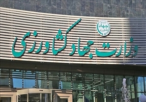 وزارت جهاد کشاورزی: با گران فروشان مرغ برخورد قانونی شدید می‌شود